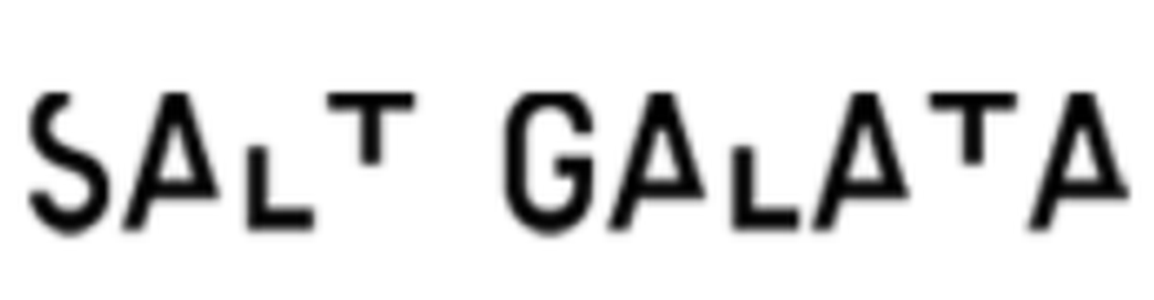Salt Galata logosu